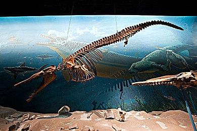 国产赛博朋克《纪元：变异》现已登陆PS4和PS5 Steam版11点解锁